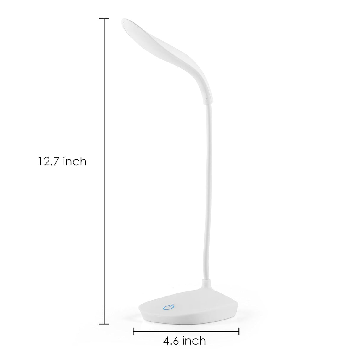 Study lamp size